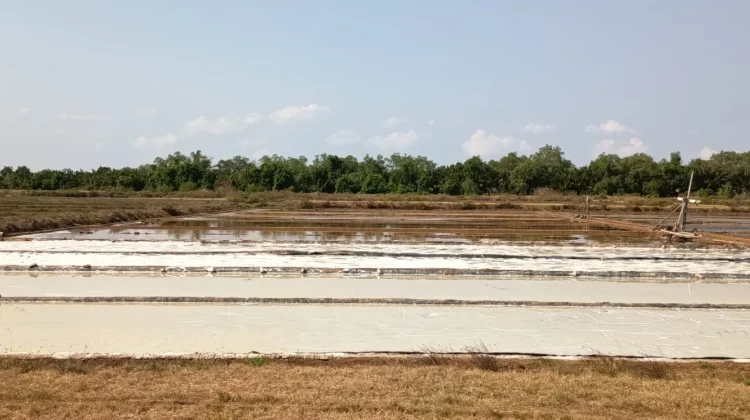 Petani Garam Sumenep Kesulitan Bahan Baku Air