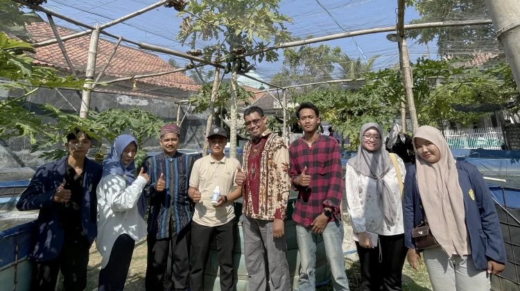 UTM Dampingi Pembudidaya Lele Sampang Terapkan Bioflok dan Pakan Kitosan