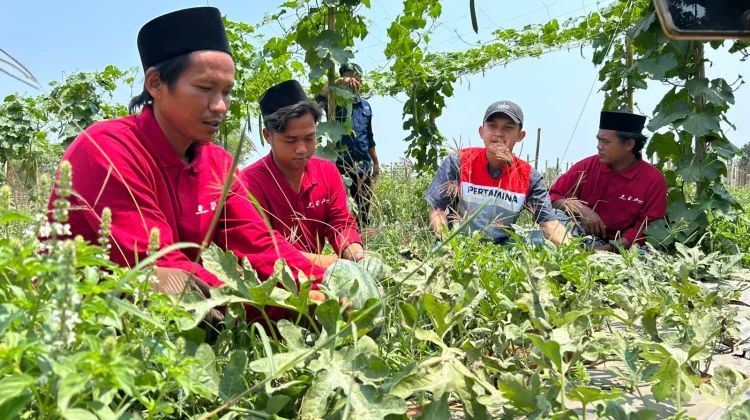 Dulu Gersang, Kini Menghijau: Kisah Petani Bangkalan Bersama Pertamina