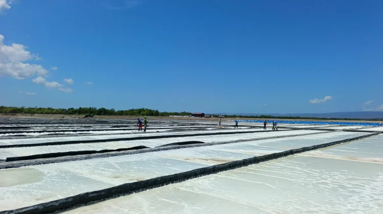 PT Sumatraco Berdayakan Warga Pangarengan lewat Industri Garam