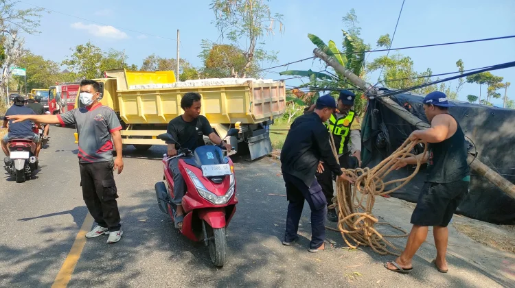 Truk Terguling, 2,2 Ton Telur Dievakuasi
