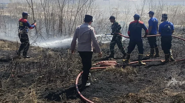 Pasca Panen Tembakau, Kebakaran Lahan di Sampang Melonjak Tajam