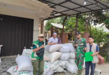 Serapan Gabah Petani Tanjung Bumi Bangkalan Perkuan Ketahanan Pangan