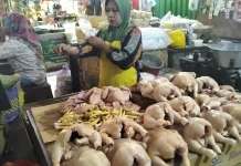 Awal Ramadan, Harga Daging Ayam di Sampang Naik