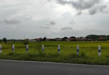 Prakiraan Cuaca Setiap Kecamatan di Sampang Hari Ini