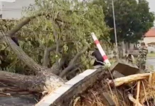 BREAKING NEWS: Puting Beliung di Sampang Tewaskan Warga