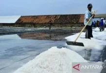 Wabup Sampang Dorong Penguatan Industri Garam Nasional