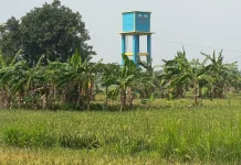 Kemarau 2026 Lebih Panjang, Petani Mulai Siaga