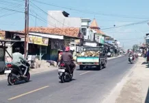 Tradisi "Perperan" di Madura, Pengendara Diarahkan Melalui Jalur Alternatif