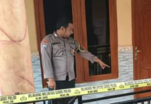 Seorang Anak 5 Tahun Meninggal usai Digigit Monyet di Pamekasan