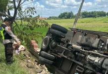 Diduga Sopir Mengantuk, Truk Jatuh ke Parit di Jrengik Sampang