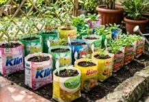 Manfaatkan Sampah Plastik dan Barang Bekas untuk Media Berkebun