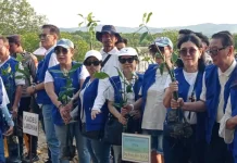 Sebanyak 10.000 Bibit Mangrove Hijaukan Pesisir Pantai Labuhan Bangkalan