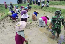 Pendampingan Pembagian Bibit dan Penanaman Padi di Bangkalan
