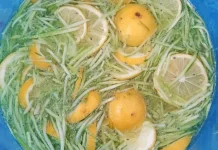 Es Timun Lemon Ala Rumahan yang Segar