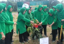 Hijaukan Bumi Kamal, Persit KCK Bangkalan Tanam Bibit Mangga