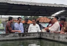 Penguatan Sektor Perikanan, Bupati Tinjau Balai Benih Ikan