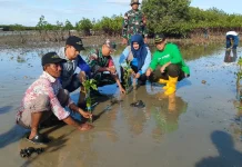 KPMM Tanam Ratusan Bibit Mangrove Sebagai Mitigasi Perubahan Iklim