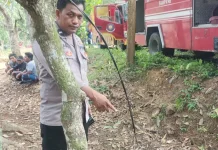 Korsleting Listrik Diduga Picu Kebakaran Rumah Warga Torjun