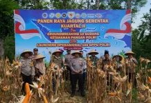 Kapolres Pamekasan Pimpin Panen Jagung Serentak di Palengaan
