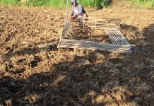 Petani Tembakau di Sumenep Mulai Garap Lahan jelang Masa Tanam