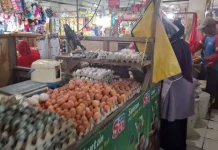 Harga Telur Ayam di Sampang Masih Aman, Bertahan Rp 26 Ribu