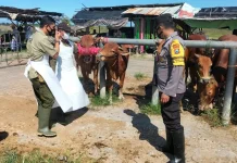 Pasar Hewan di Sampang Dipantau Ketat jelang Idul Adha