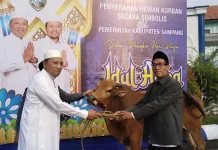 Pemkab Sampang Bagikan 68 Ekor Hewan Kurban