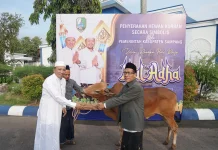 Idul Adha 2026, Pemkab Sampang Salurkan Puluhan Hewan Kurban