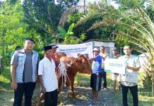 PLN Salurkan Program Tebar Daging Berkah di Pamekasan