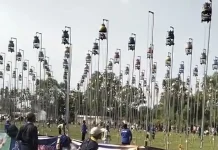 Sampang Jadi Tuan Rumah LPI 2026, 1.008 Perkutut Ramaikan Trunojoyo Cup