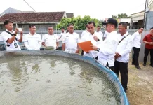 Bangkalan Genjot Perikanan Tangkap dan Budidaya Targetkan Tumbuh 10 Persen