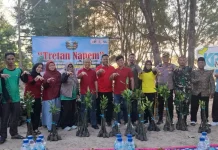 Peringati Hari Lingkungan Hidup, KPMM Tanam Ribuan Mangrove di Bangkalan