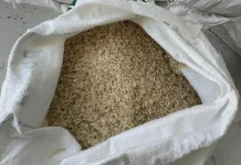 Kualitas Tak Layak Beras Banpan di Bangkalan Dikembalikan