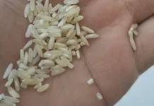 DP2KP Bangkalan Awasi Ketat Distribusi Beras Banpang Bulog