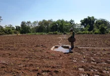 Petani Tembakau Minta Perlindungan Regulasi Pemerintah