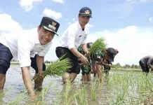 DP2KP Bangkalan Dorong KDKMP Jadi Input dan Etalase Output Pertanian Lokal