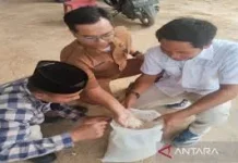 Penuhi Kuota Serapan Bulog, Bangkalan Dorong KDKMP Serap Beras Petani