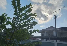 Cuaca Sampang Madura Didominasi Berawan hingga Cerah 2 Juli 2026