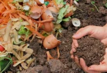 Membuat Pupuk Kompos dari Sisa Organik Rumah Tangga