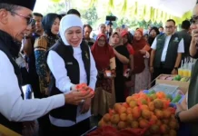 Gubernur Jatim Sebut 60 Persen Ekonomi Ditopang Koperasi dan UMKM
