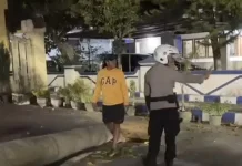 Angin Kencang Tumbangkan Pohon palem di Kawasan Pemkab Sampang