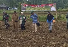 Wujudkan Ketahanan Pangan, TNI Tanam Kacang Hijau di Sampang