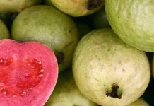 Kaya Vitamin C, Konsumsi Jambu Biji Merah Utuh Lebih Direkomendasikan