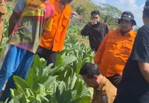 BPBD Sampang Pastikan Fenomena Sawah Bergemuruh Masih Aman
