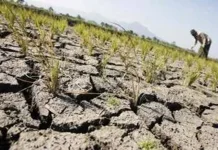 Puncak Kemarau Tiba, BPBD Sampang Belum Mulai Droping Air