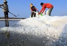 Harga Garam Sampang Anjlok, Hanya Rp30 Ribu per Sak