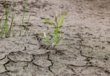 Pengertian El Nino dan Dampaknya