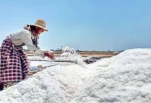 Produksi Garam Sampang Baru Capai 50 Ribu Ton dari Target 310 Ribu Ton