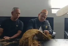 Haji Her Mulai Beli Tembakau Petani, Harga sesuai Kualitas
